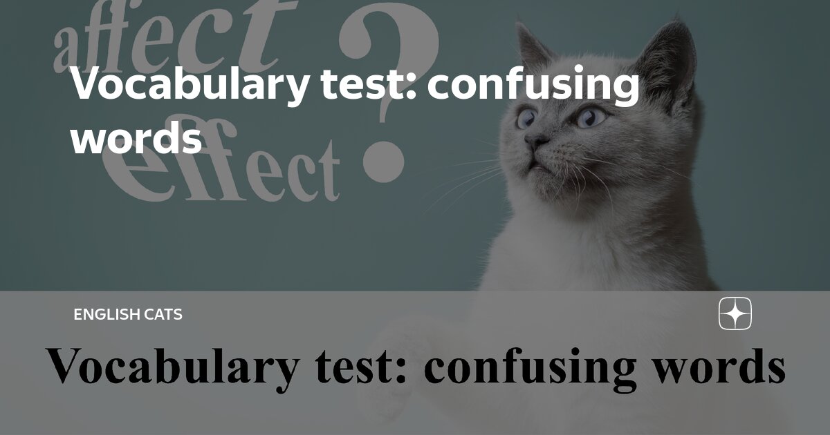 Vocabulary test: confusing words | English Cats | Дзен