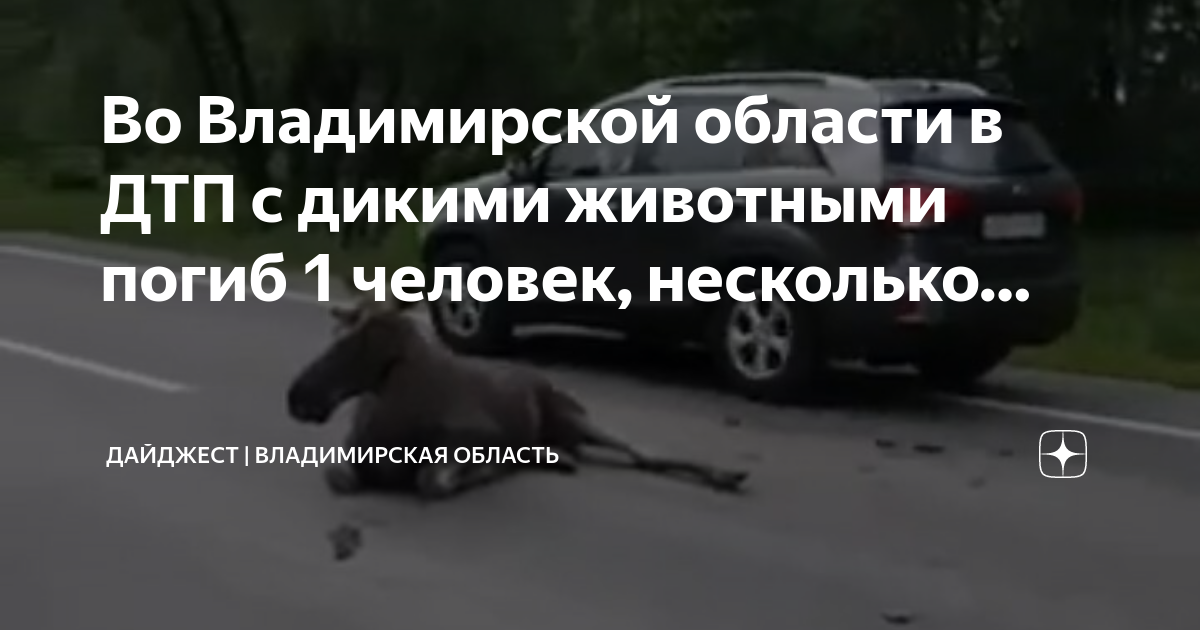 За одно дтп несколько штрафов