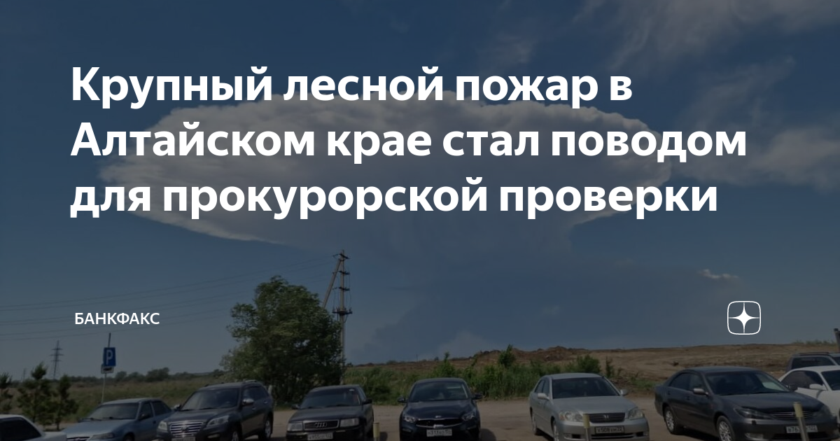 Погода в новоегорьевском алтайский на 10 дней. Егорьевск Алтайский край. Лесные пожары в Алтайском крае. Пожар в Егорьевском районе Алтайского края. Пожар в Новоегорьевском районе Алтайского края.