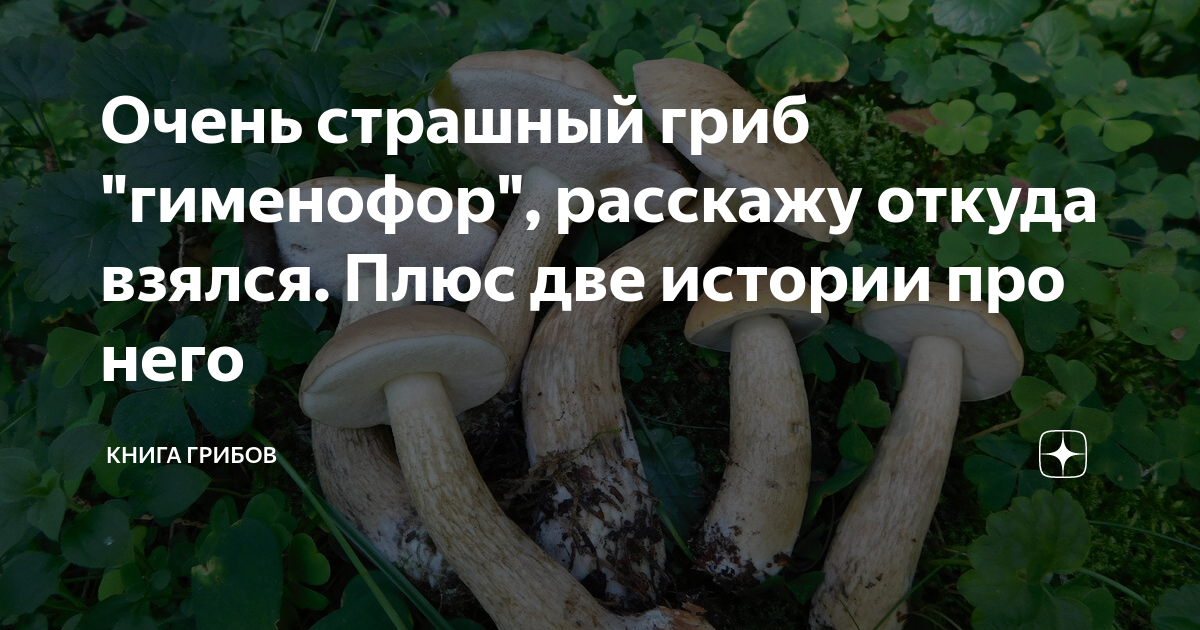 Откуда появились люди на земле. Откуда взялся плюс. Откуда дети. Откуда появились люди на земле. Откуда взялся плюс.