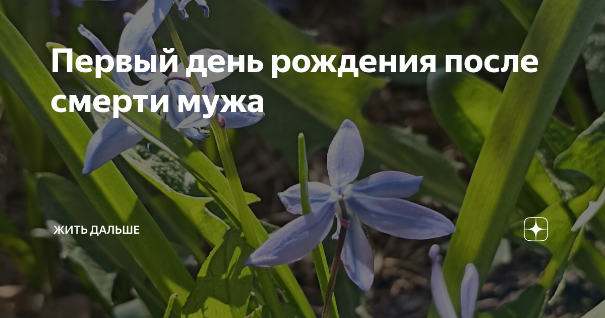 от рождения до смерти читать онлайн
