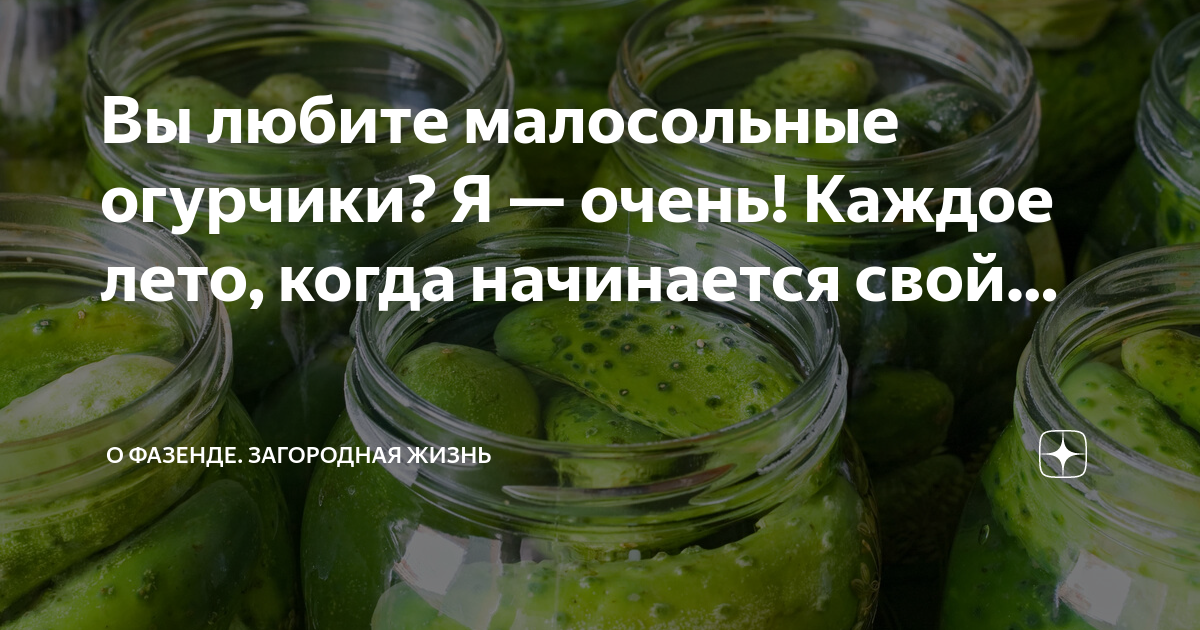 Когда день малосольного огурчика. Малосольные огурцы png. Как сделать свежие огурчики свежепросольные вкусными. Малосольные огурцы на минералке. Когда день малосольного огурчика.