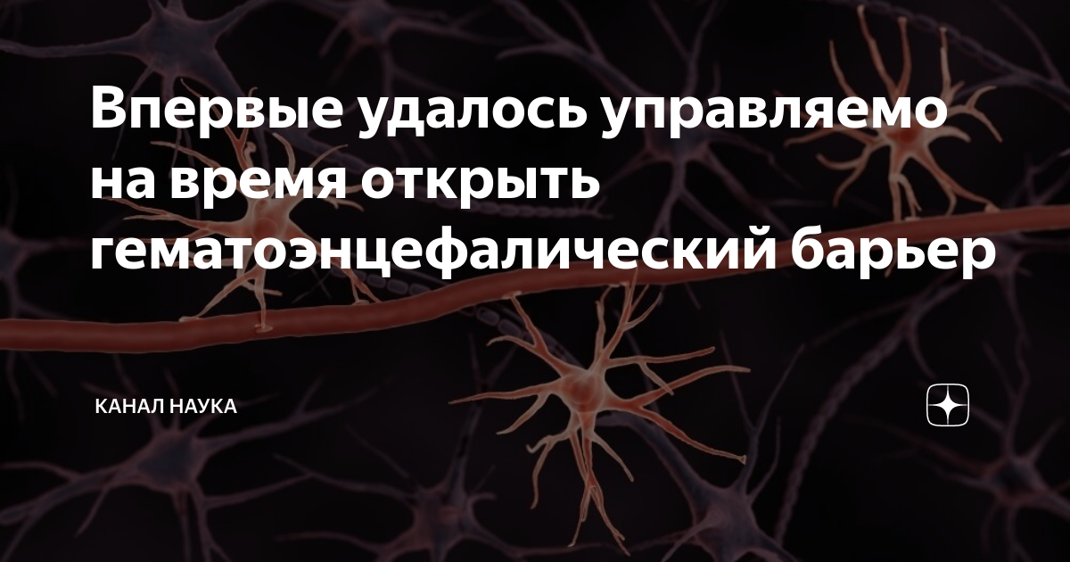 Впервые удалось управляемо на время открыть гематоэнцефалический барьер ...