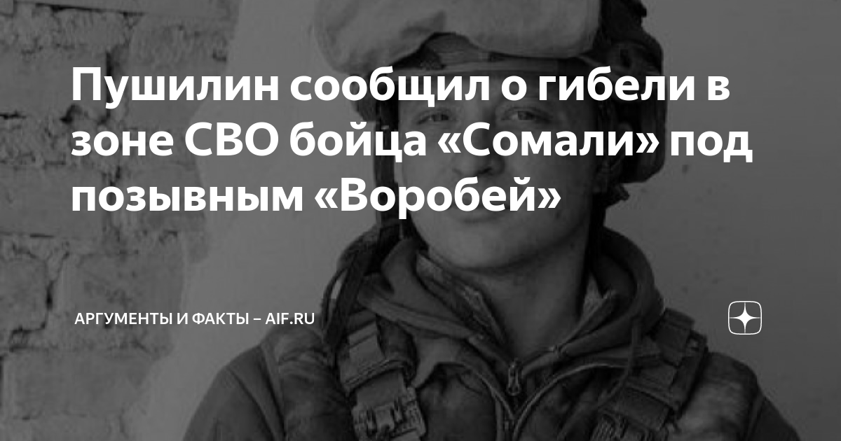 Пушилин сообщил о гибели в зоне СВО бойца "Сомали" под позывным "Воробей" Аргуме
