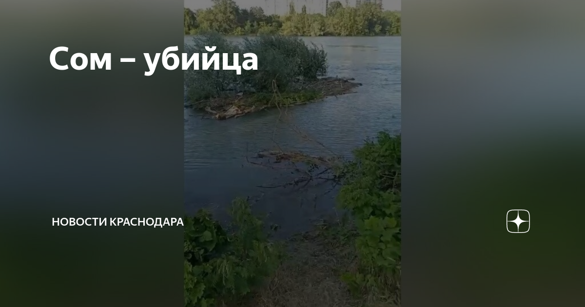 Выкинуты на берег