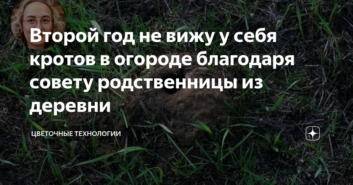 Второй год не вижу у себя кротов в огороде благодаря совету родственницы из деревни