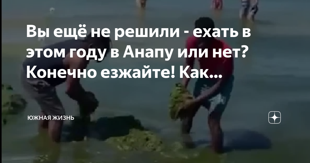 Когда море цветет в анапе