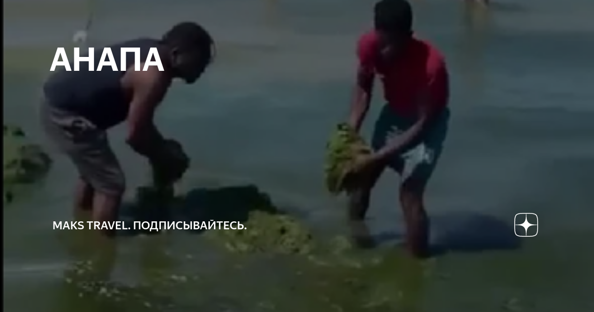 Анапа цветение моря