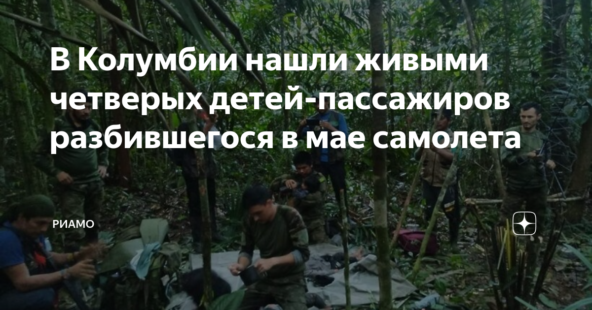 Упал самолет из египта
