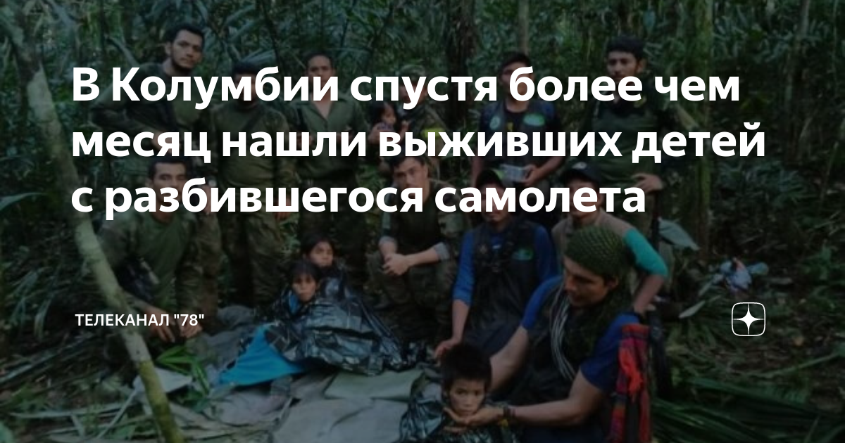 Упал самолет из египта