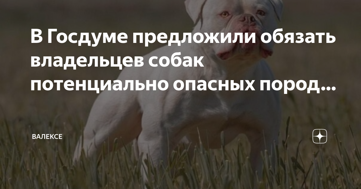 Официальный перечень потенциально опасных и запрещенных пород собак в России