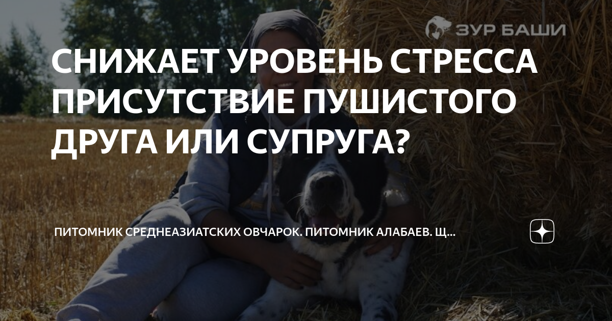 Вас уменьшили и поместили в аллигатора ответ