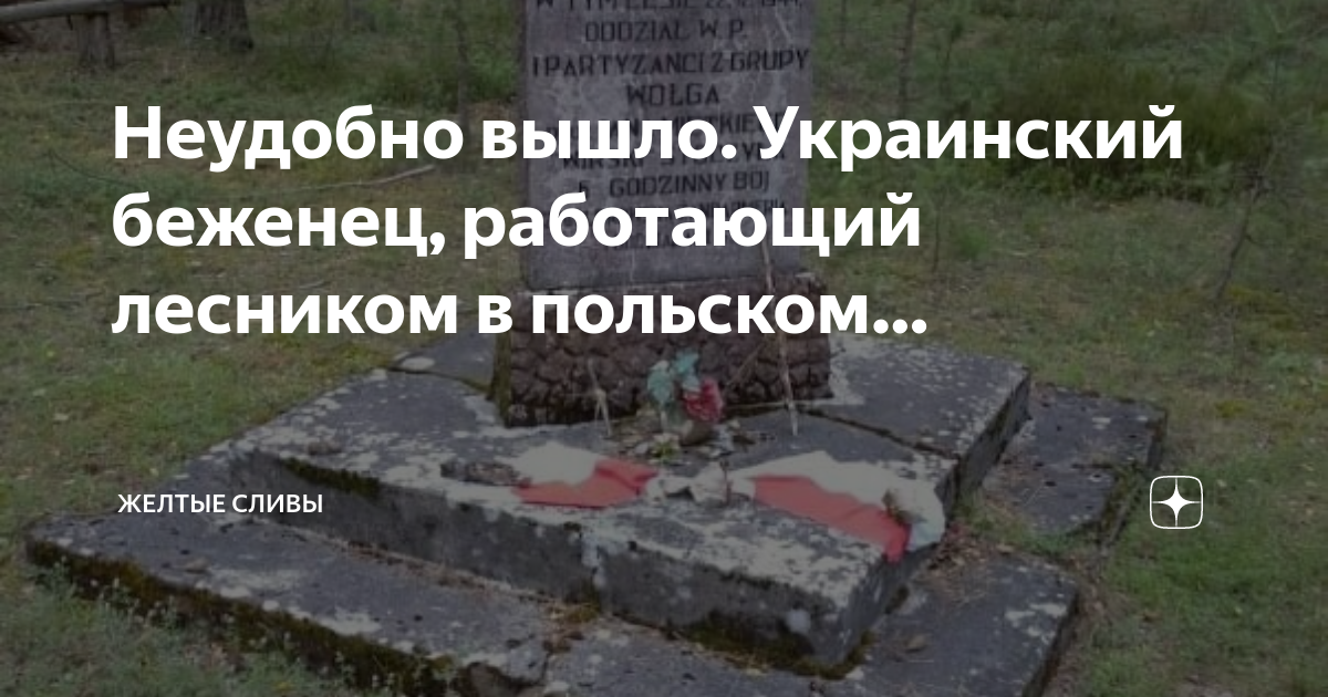 Советские памятники в польше