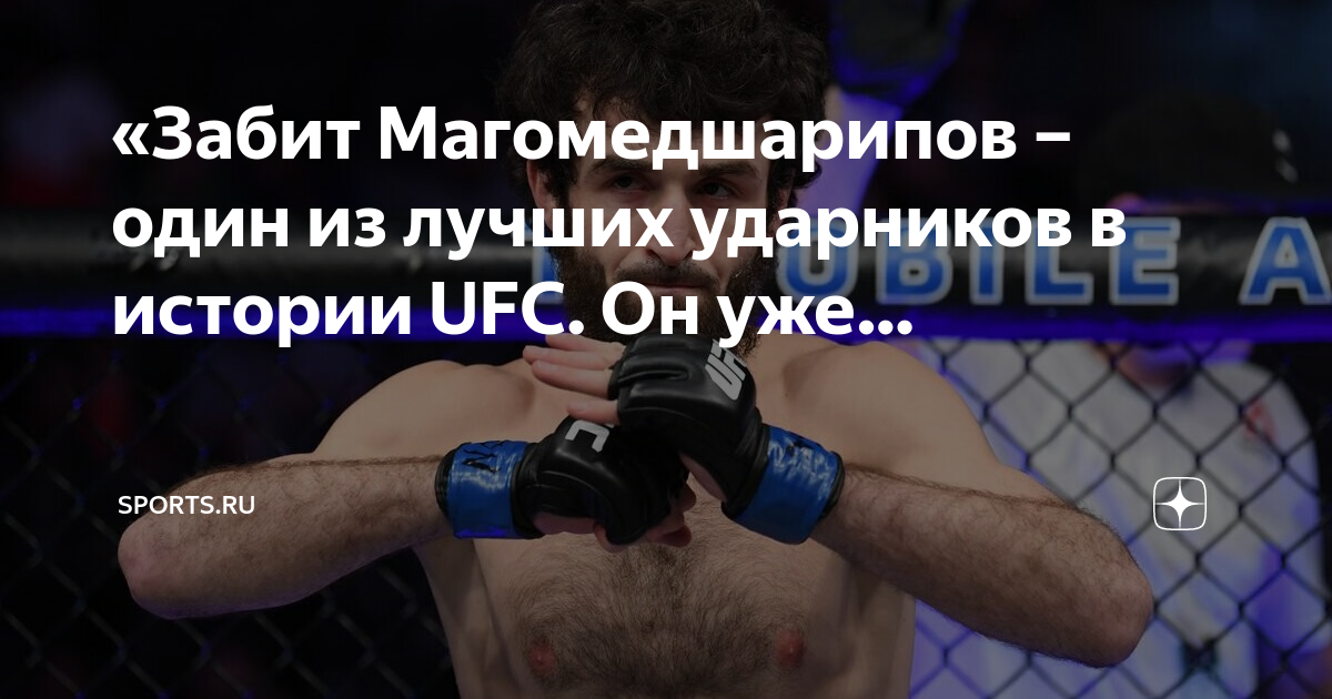 Почему магомедшарипов завершил карьеру. Забит Магомедшарипов. Бойцы UFC. Забит Магомедшарипов UFC.