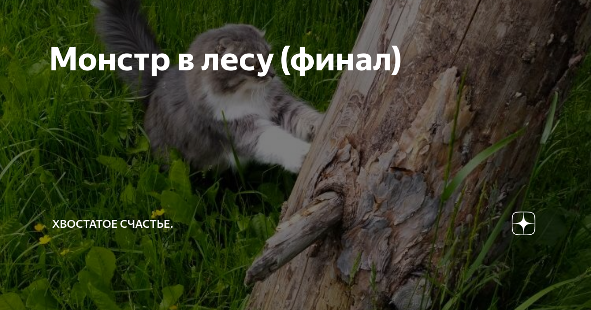 Хвостатое счастье дзен буся Хвостатое счастье дзен буся