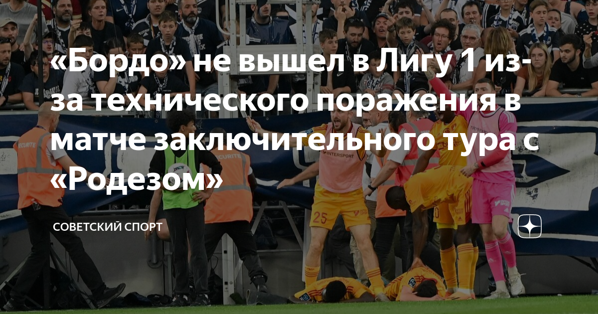 Болельщики во франции