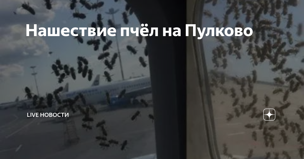 Москва и самолет