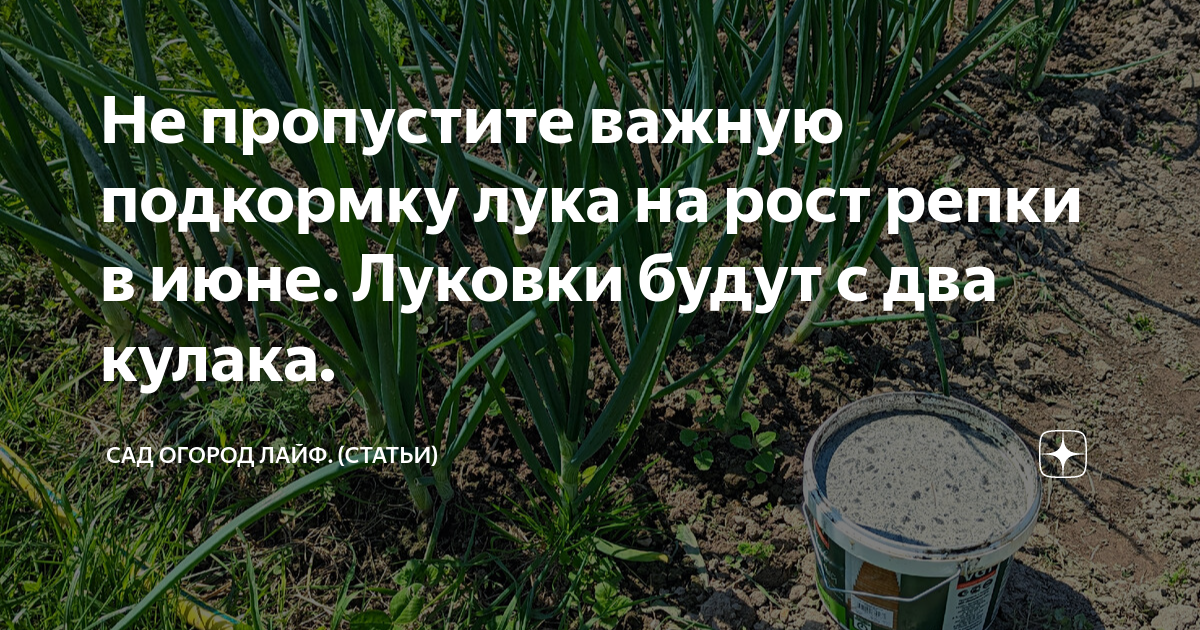 Природная эффективность натуральных удобрений