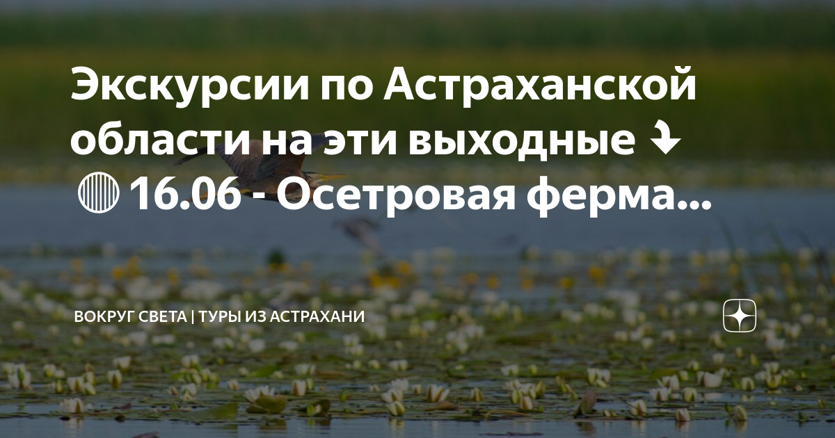За волгой нет света