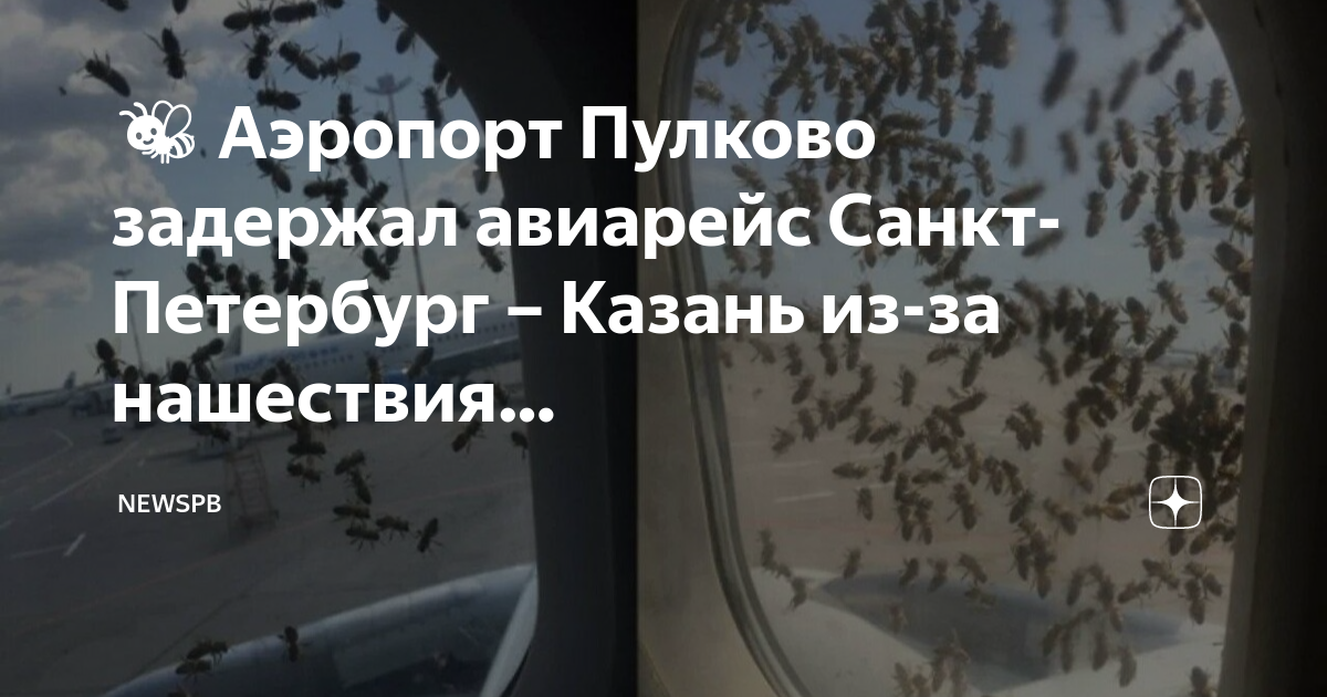 В аэропорту пулково