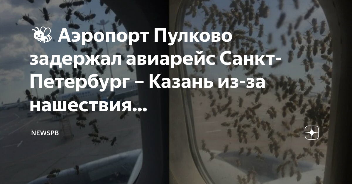 Самолеты в аэропорту пулково