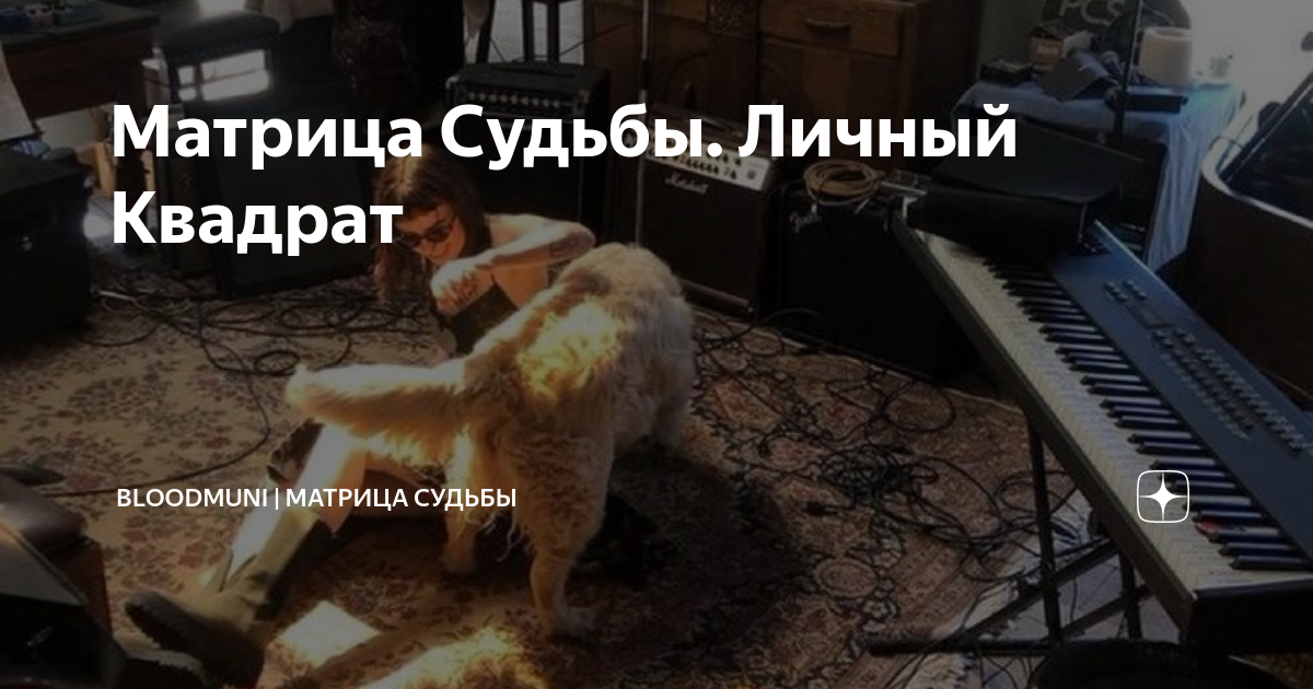 В оке не поймут