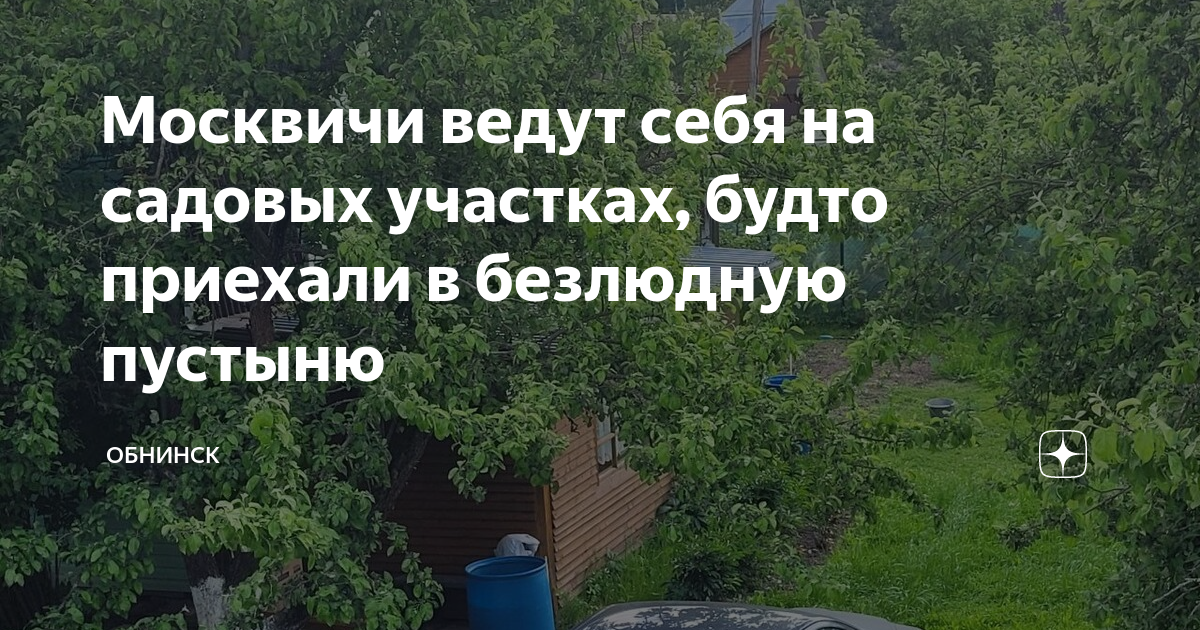 Приезжай в москву