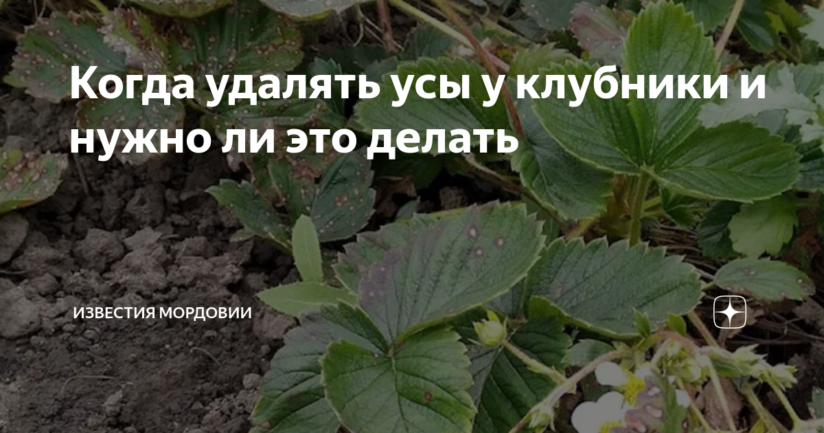 Как сходить руки на