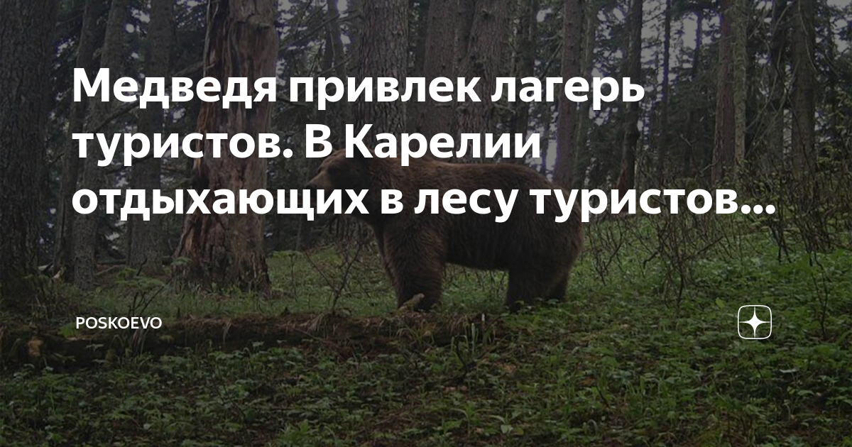 Туристы в карелии