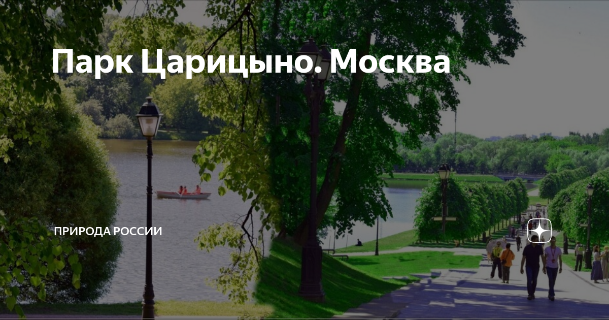 Лесопарк в москве