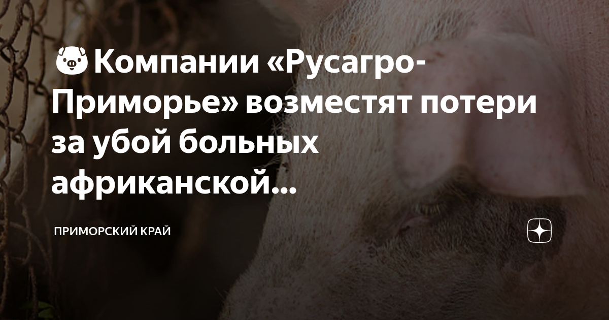 Русагро приморье ачс. Русагро приморье ачс