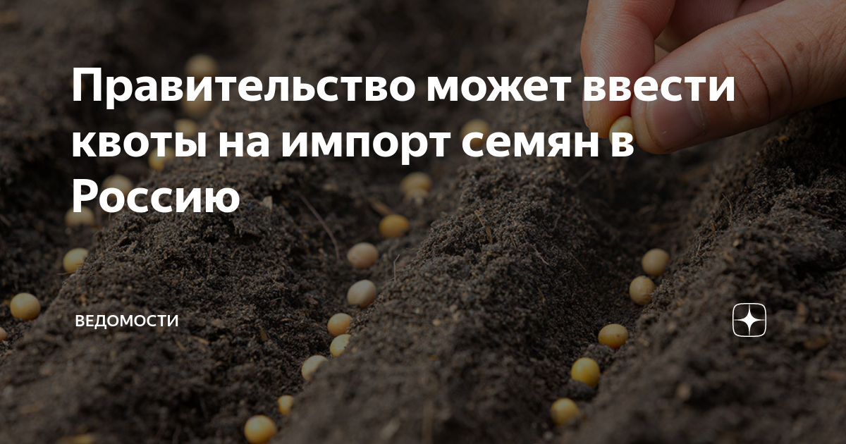 Квоты на ввоз импортных семян не выбраны ни по одной культуре