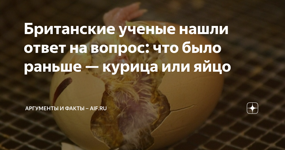 Британские ученые нашли ответ на вопрос: что было раньше — курица или ...
