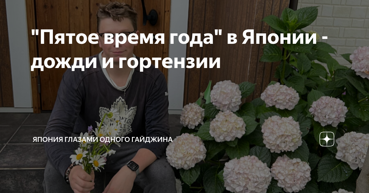 "Пятое время года" в Японии - дожди и гортензии | Япония глазами одного ...