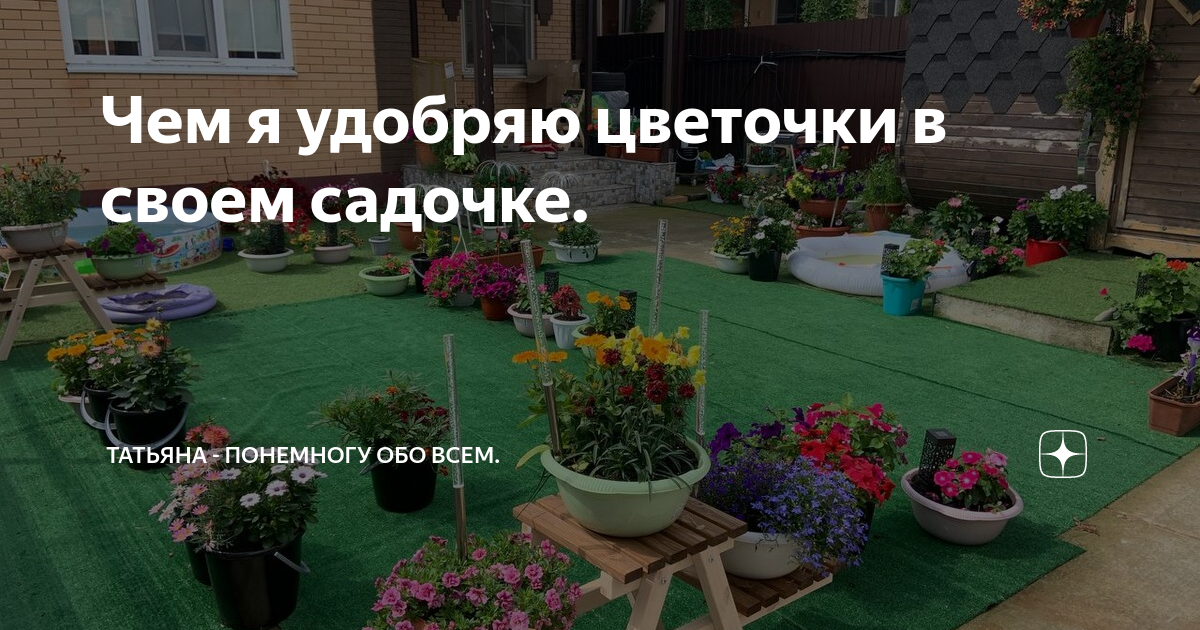 Чем я удобряю цветочки в своем садочке. | Татьяна - понемногу обо всем ...