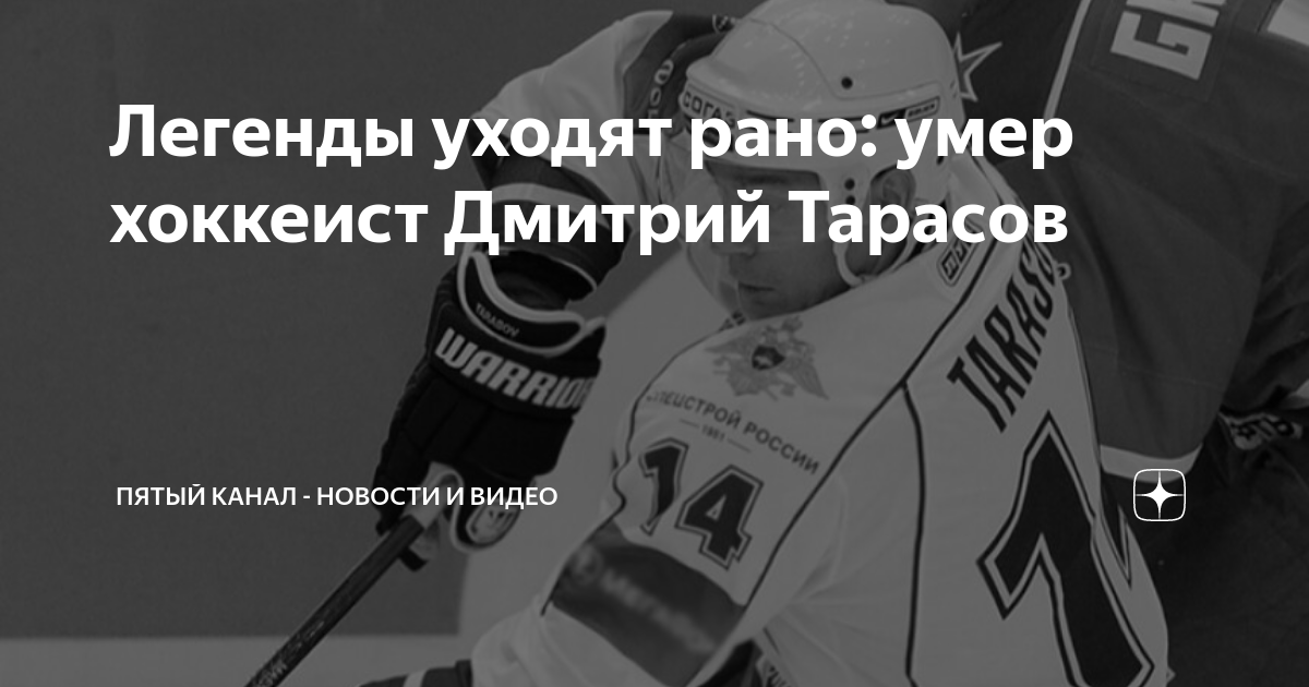 Дмитрий вест дзен канал