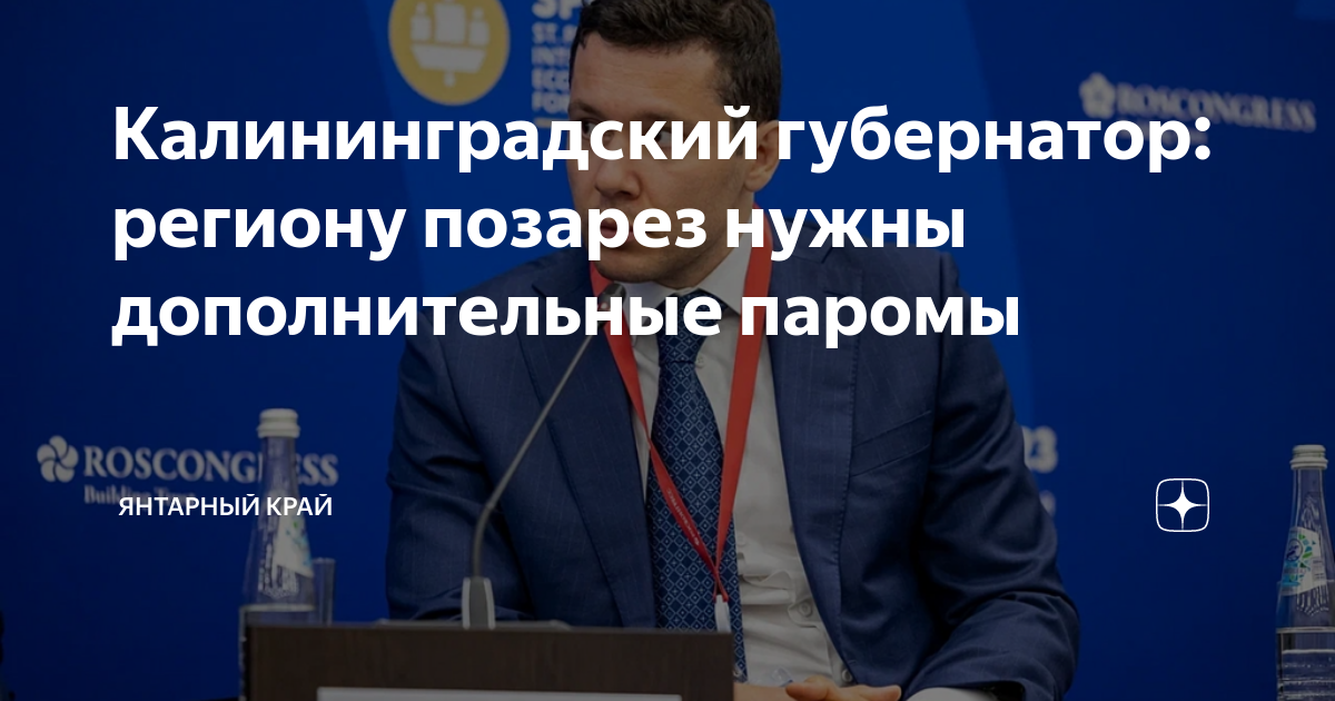Проект янтарный край