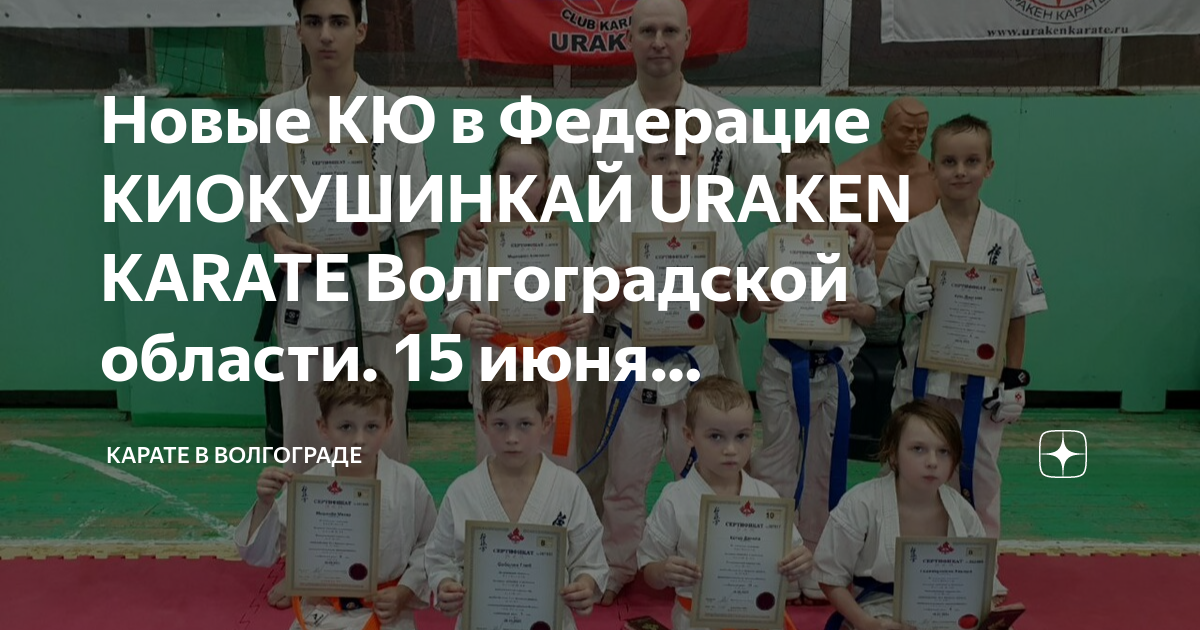Каратэ киокусинкай проект