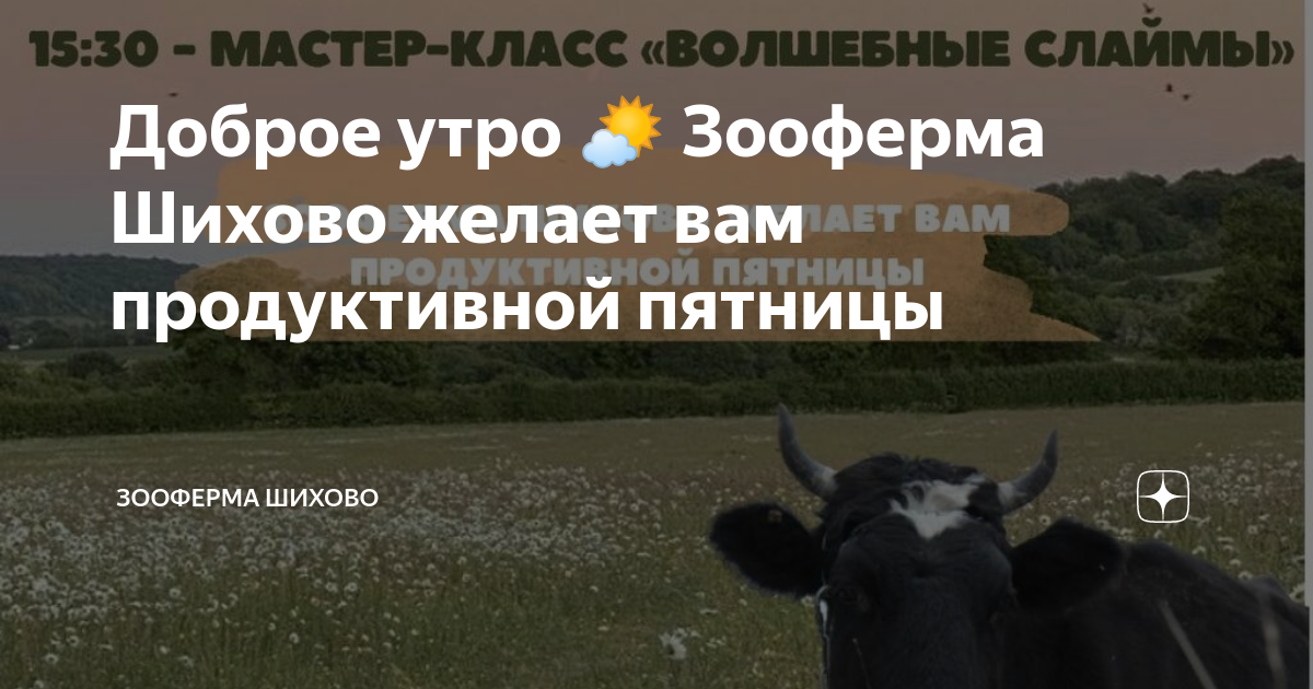 Зооферма шихово карта