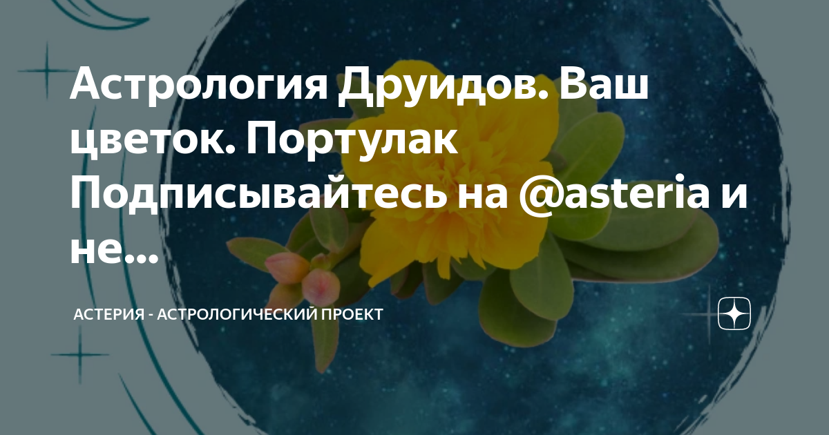 Проект на тему астрология