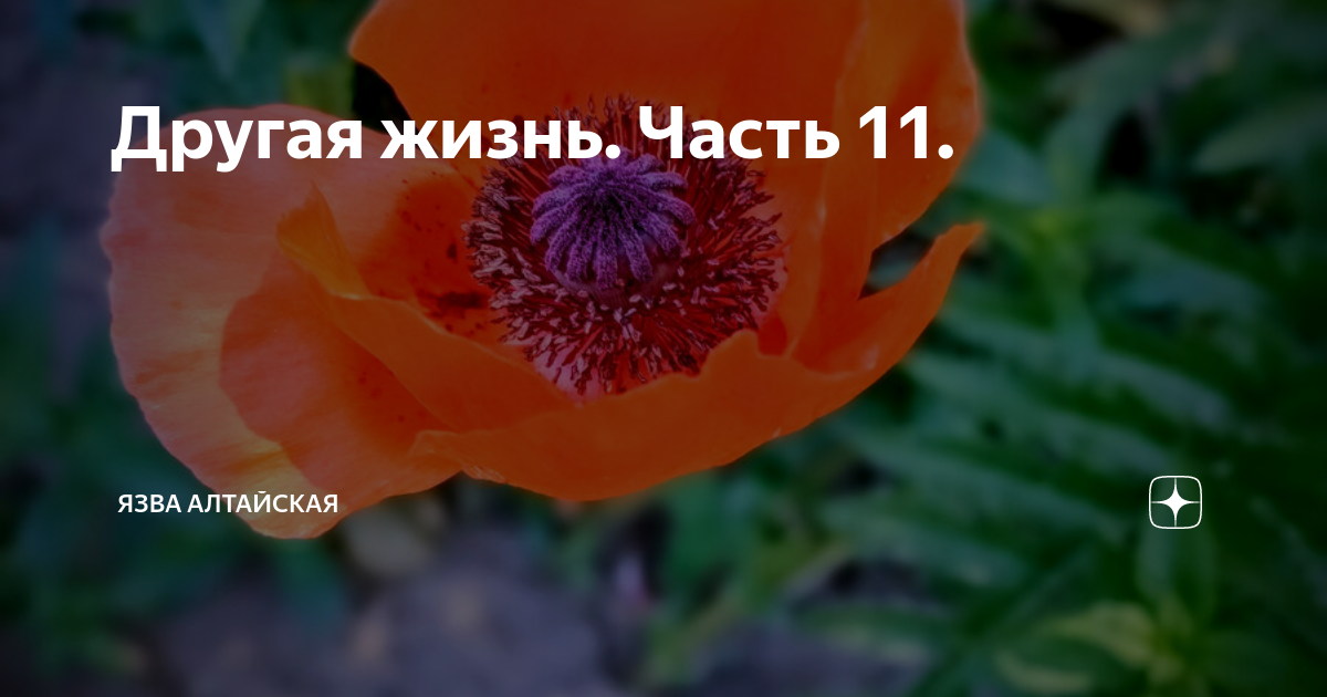 Другая жизнь. Часть 11. | Язва Алтайская. | Дзен