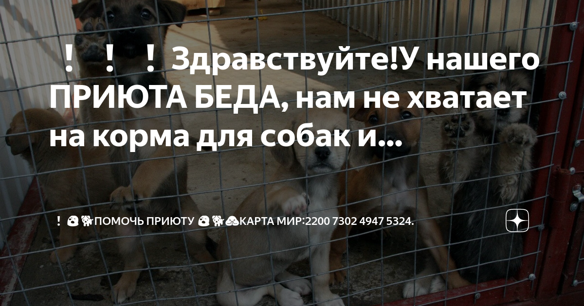 2200 7302 Карта какого банка