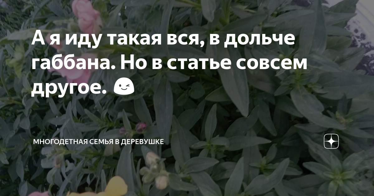 А я иду такая вся, в дольче габбана. Но в статье совсем другое. 😉 Многодетная семья в