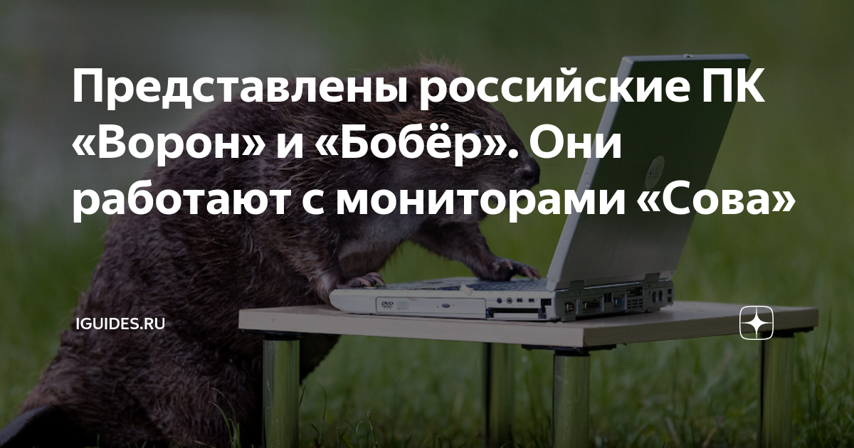 Монитор сова. Компьютер ворон. Компьютер бобер и ворон. Анемона 2 материнская плата. Компьютер бобер характеристики