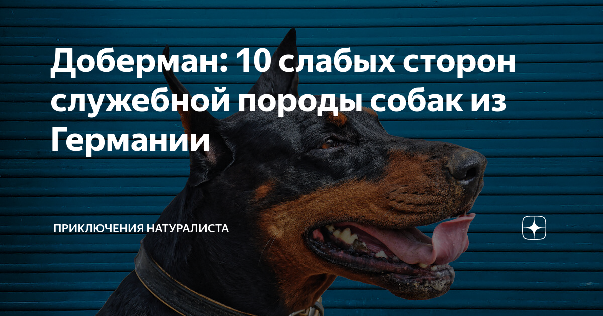 10 слабых. 10 слабых