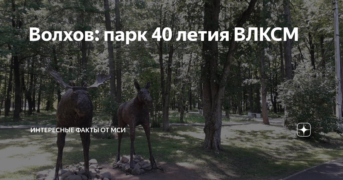 Парк 40 летия влксм