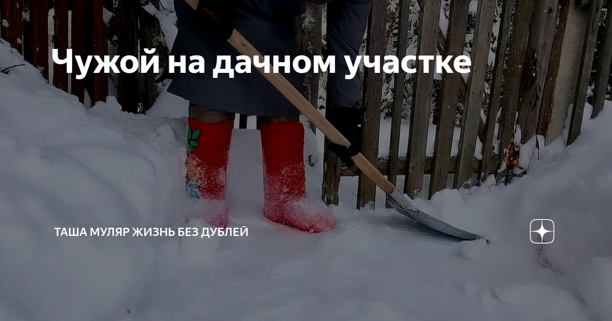 Чужой на дачном участке | Таша Муляр ЖИЗНЬ БЕЗ ДУБЛЕЙ - пишу жизнь и ...