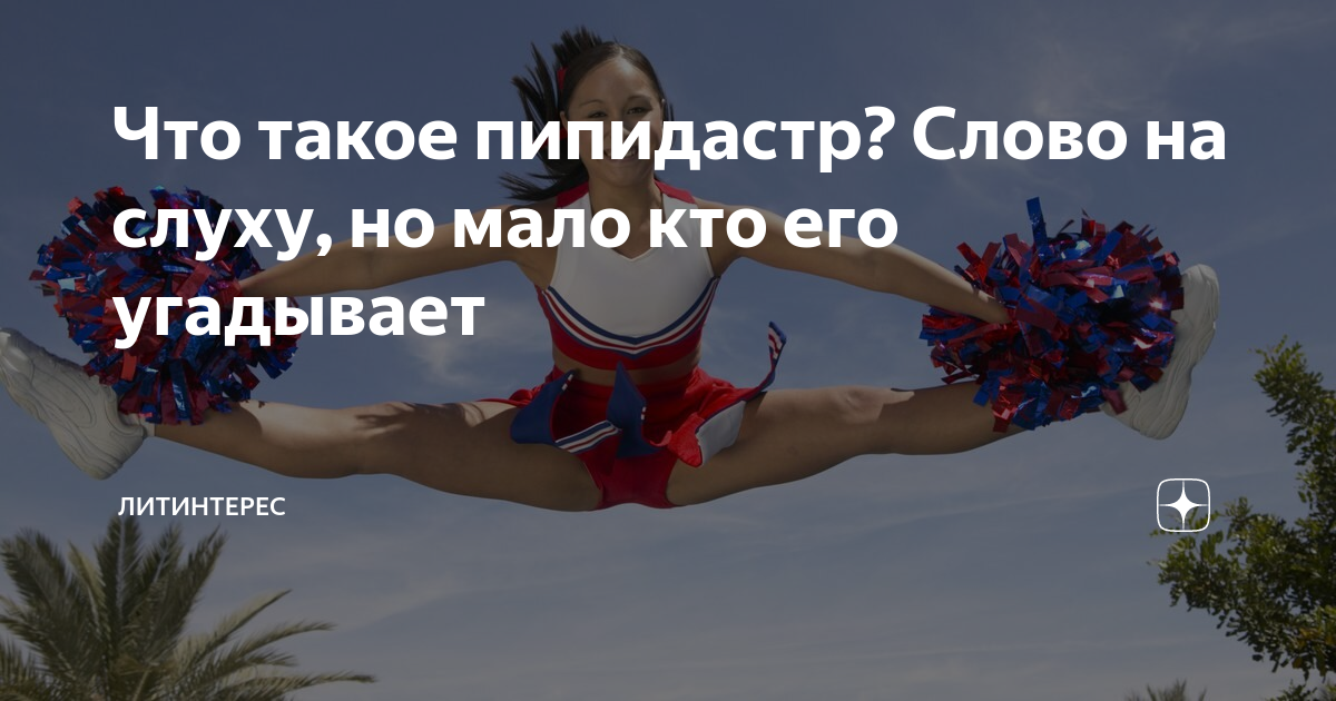 пипидастра у человека. пипидастр для пыли электрический. пипидастры. пипидастр что это такое простыми словами фото. весёлый пипидастр.