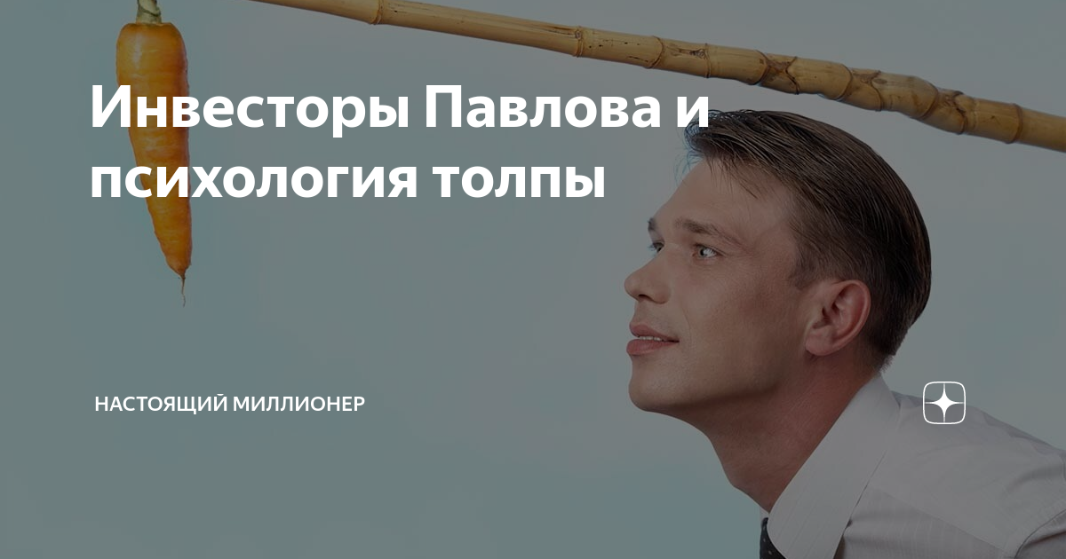 записки бывшего миллионера дзен