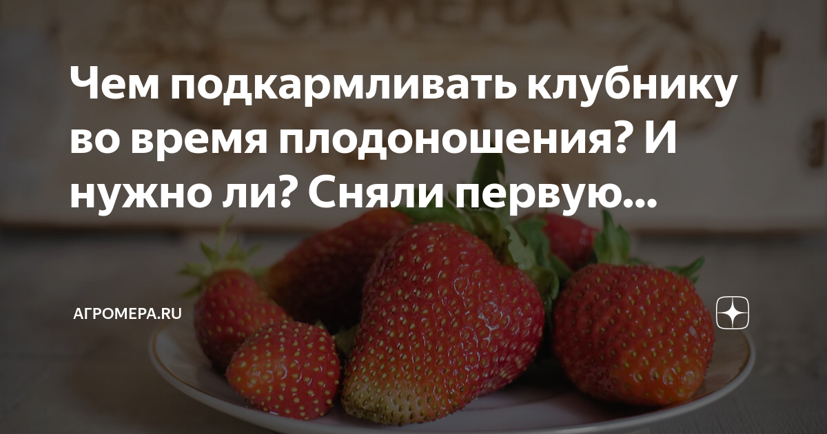 Нужно ли размораживать клубнику для пирога